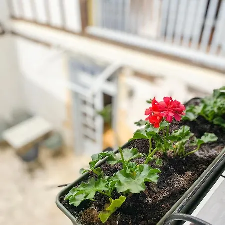 Bed and breakfast Nogapatio - -