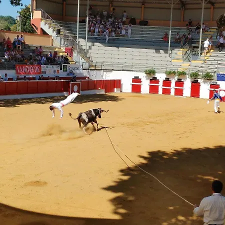 Nogapatio - - Bed and breakfast